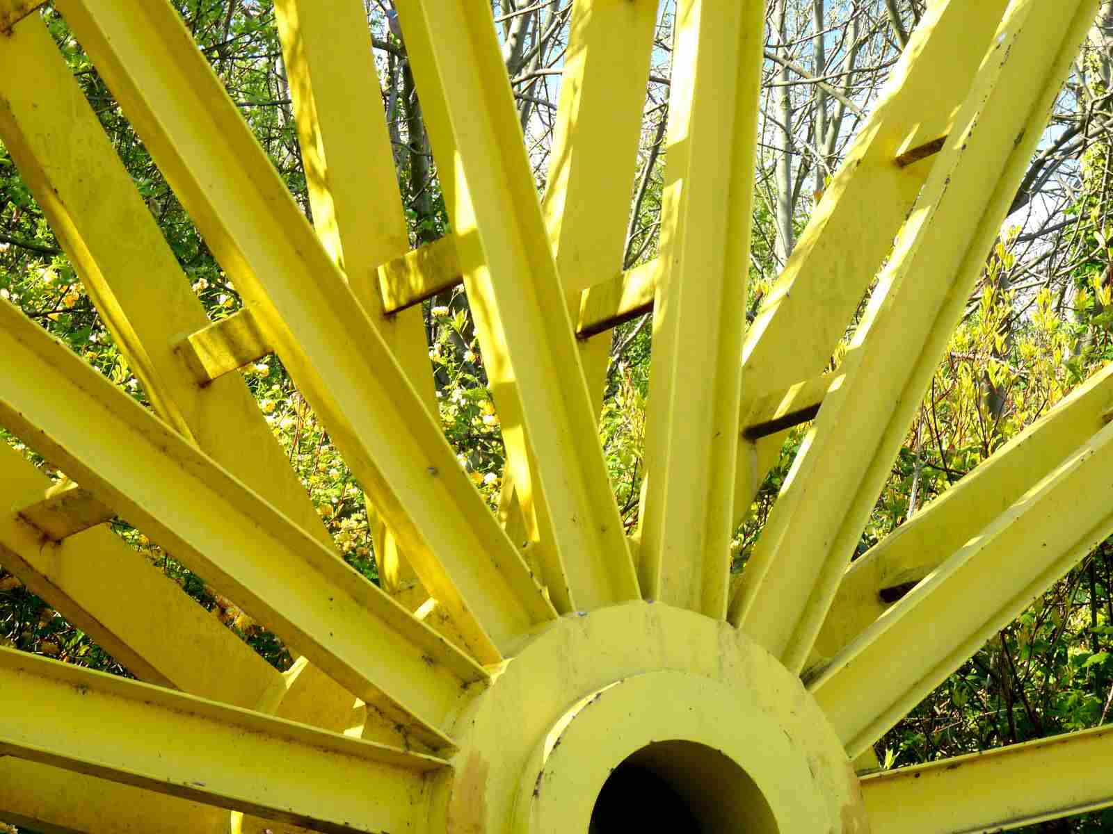 The site's current background image